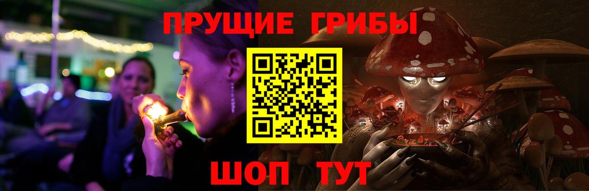 Краснотурьинск  Псилоцибиновые грибы мухоморы  Вход с VPN 